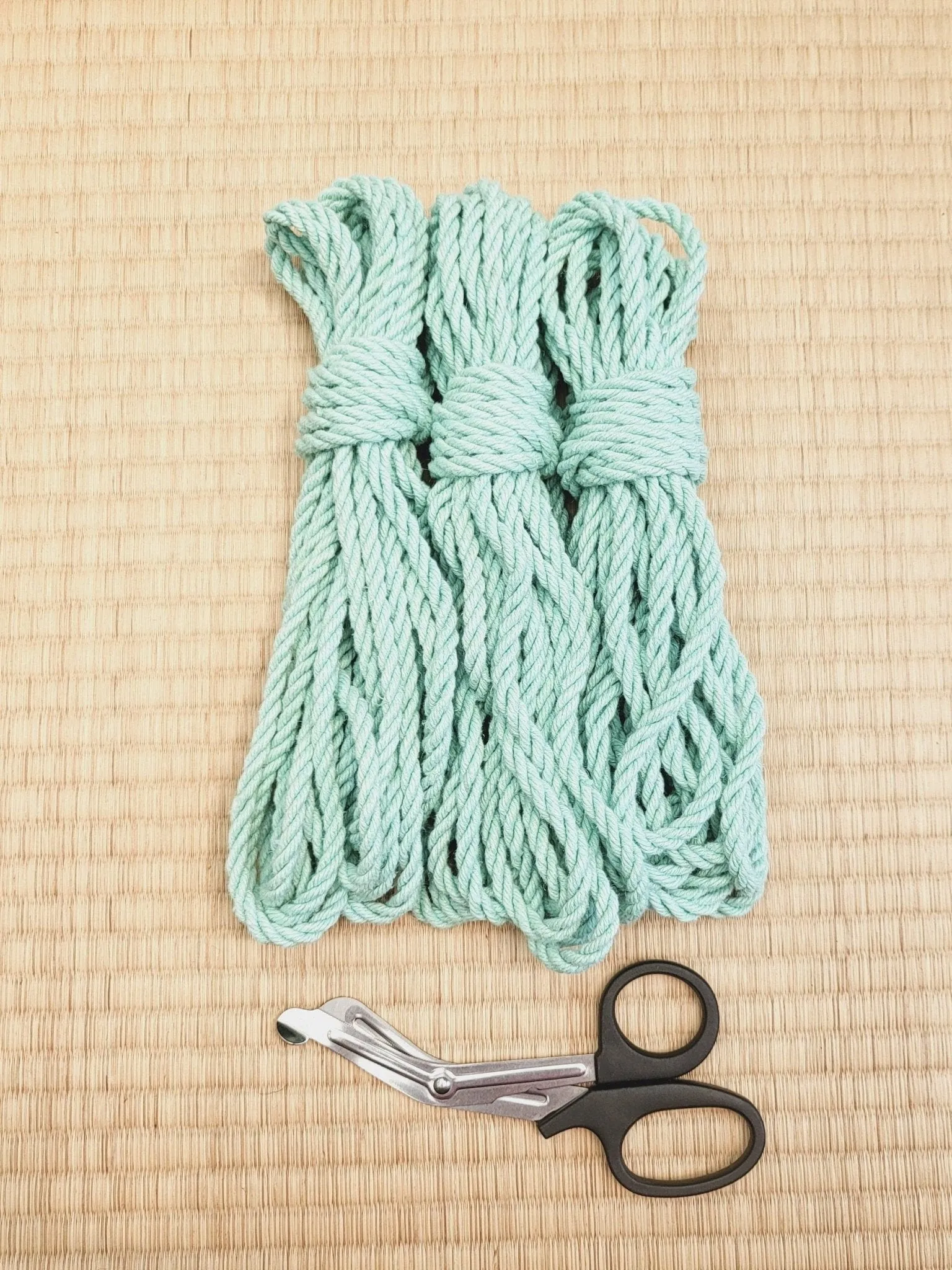 'Mint Green' Hemp bondage rope