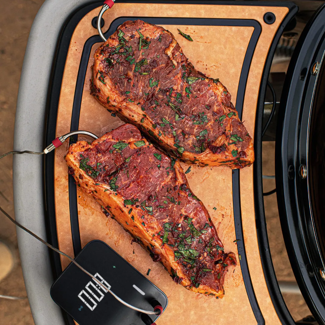 Weber Traveler Black Gas BBQ