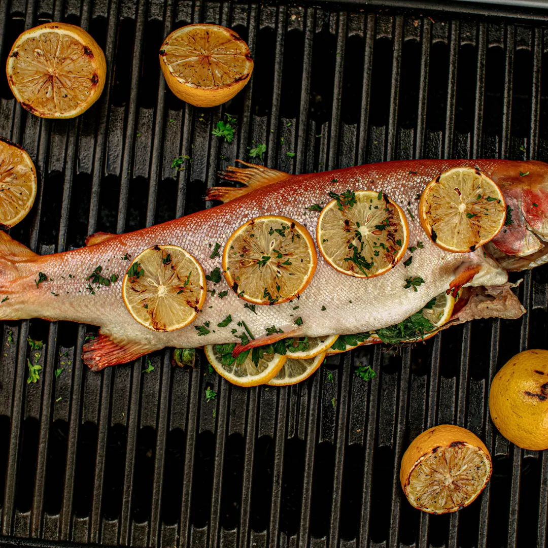 Weber Traveler Black Gas BBQ