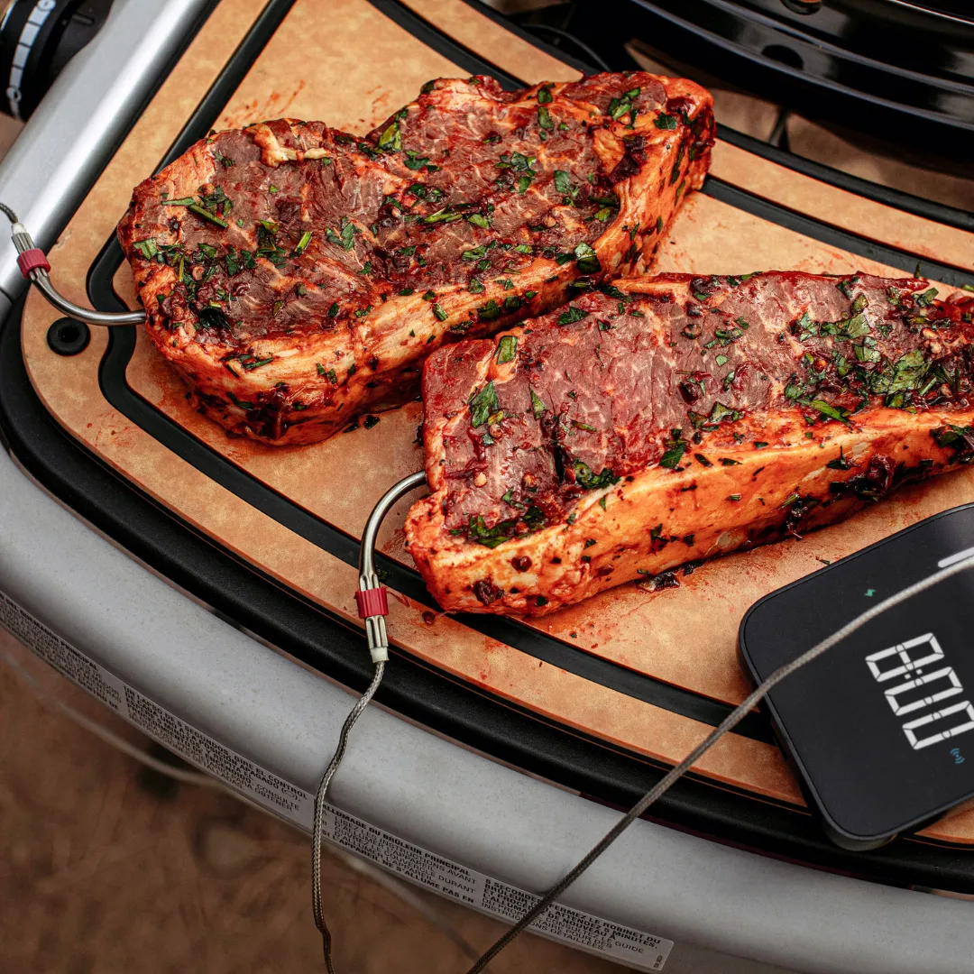 Weber Traveler Black Gas BBQ