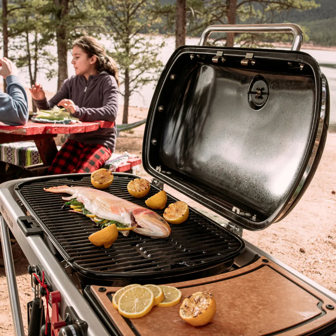 Weber Traveler Black Gas BBQ